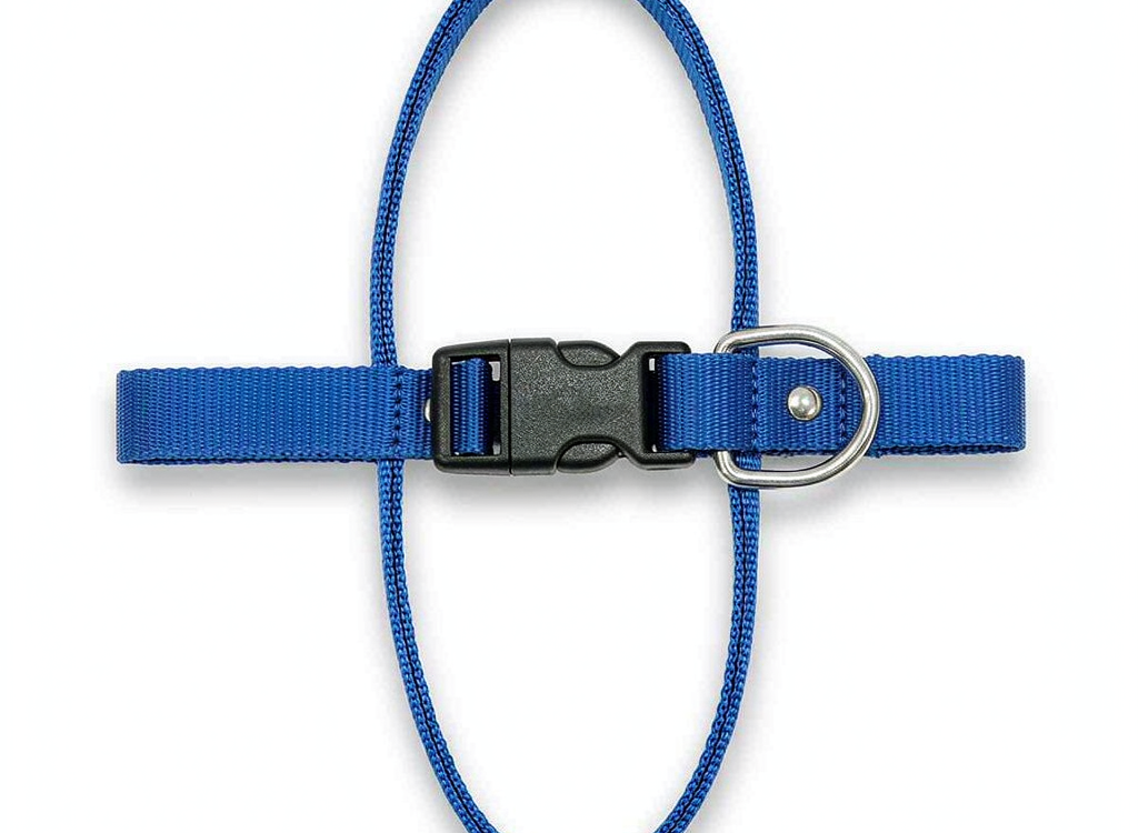 NV-P13 Adjustable Pet Collar