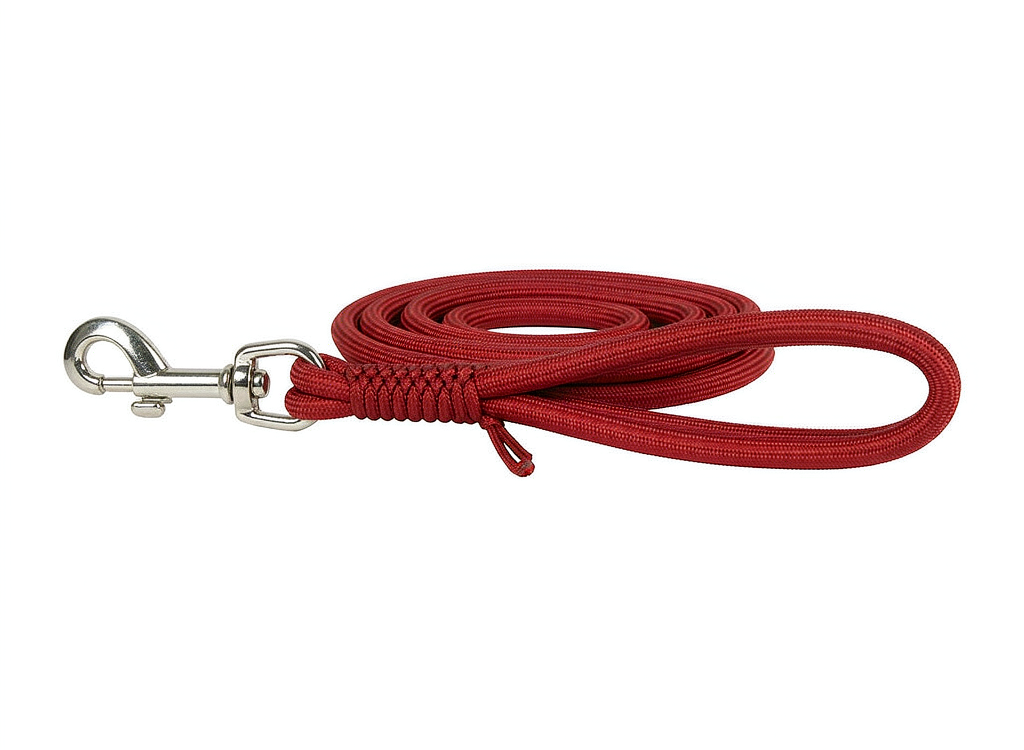 NV-P15 Fixed Length Pet Leash