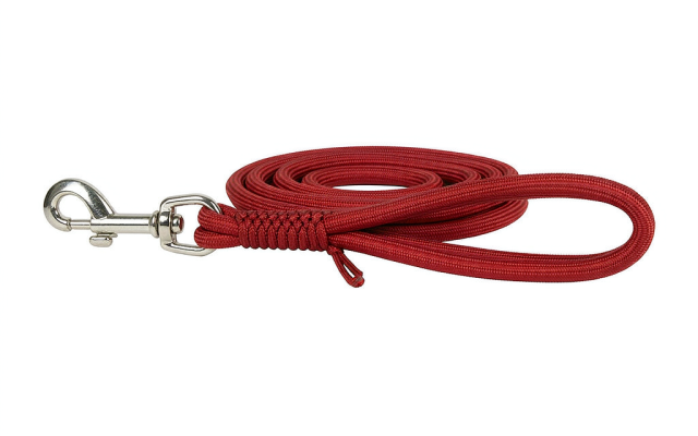 NV-P15 Fixed Length Pet Leash